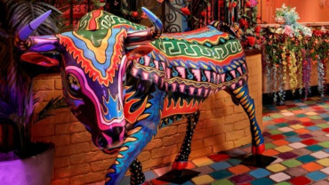 برانش فييستا المكسيكي – كل سبت في إن فويغو برانش فييستا المكسيكي – كل سبت في إن فويغو