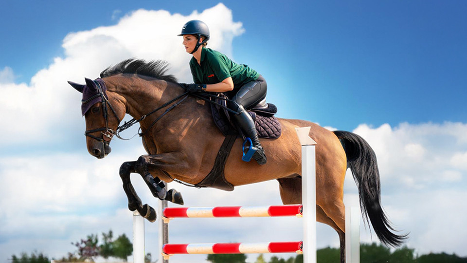 تجربة ركوب الخيل في الفرسان