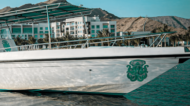 Exclusive Boating Experience - Dolphins Watching Exclusive Boating Experience - Dolphins Watching