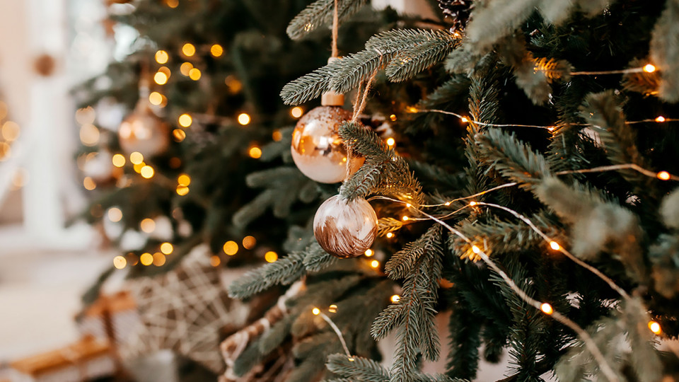 Festive Tree Lighting Festive Tree Lighting