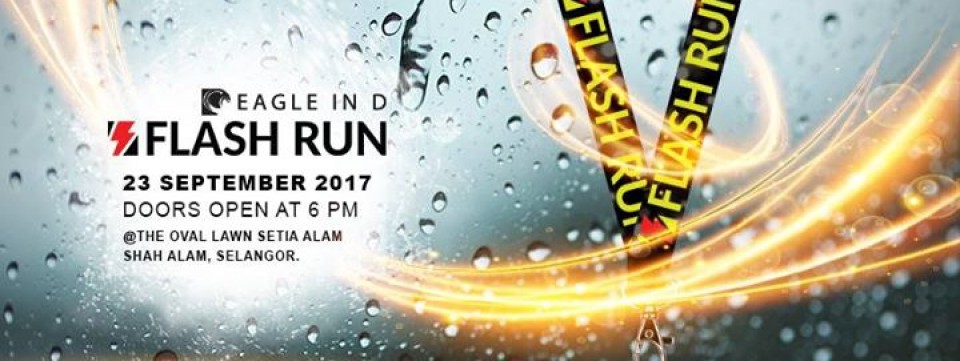 Flash Run 2017