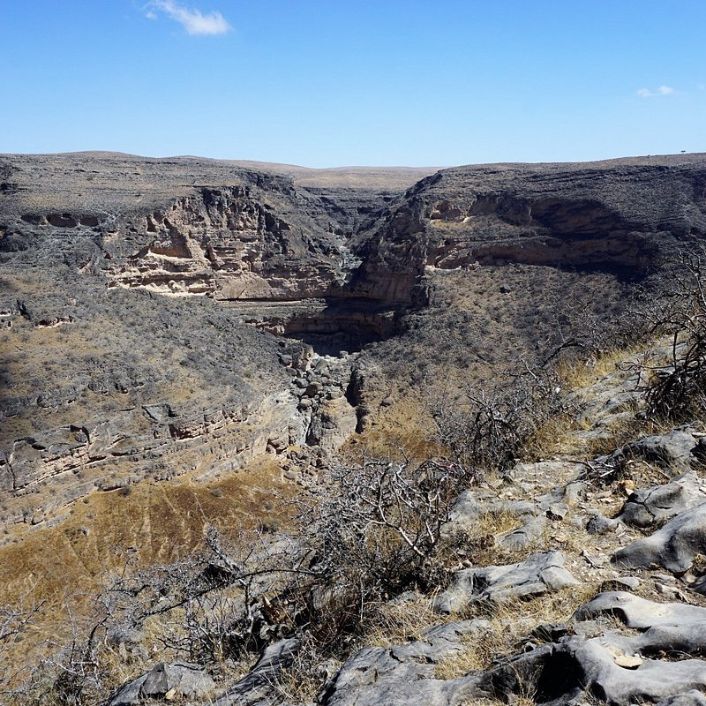 التجارب المضافة حديثًا