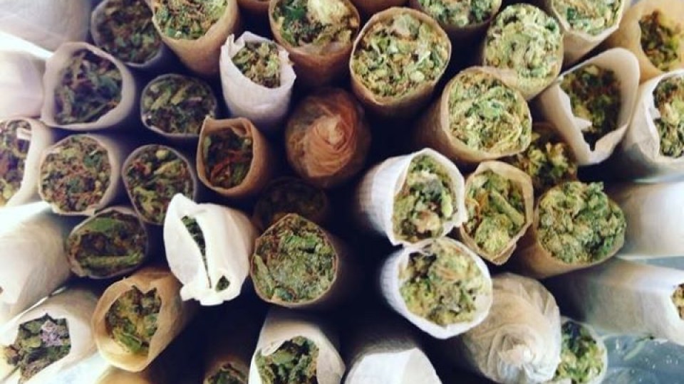 Green Friday:Free Joint Every Week: OG Kush