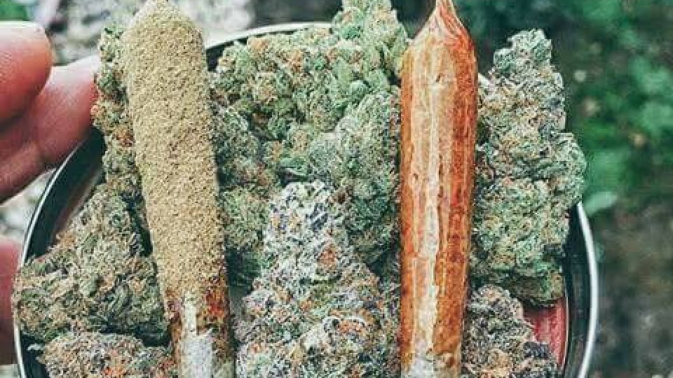 Green Friday:Free Joint New Year-Purple Moon Rock-Cinema Rooftop Outdoor