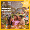 Harvest Festival Spring Edition in Dubai