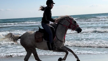 Horse Riding at Shahaniya -  Qool Qatar