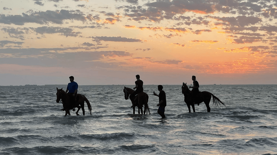 تجربة ركوب الخيل في جدة