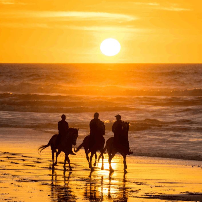 Expériences récemment ajoutées