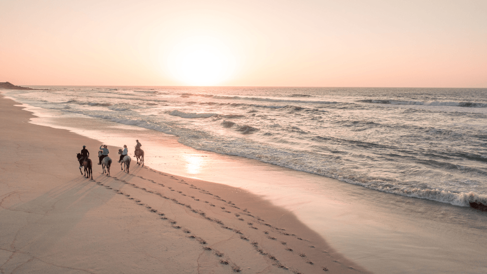 Balade à cheval a Le Ranch des Dunes, Dakhla