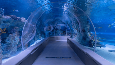 Istanbul Emaar Aquarium