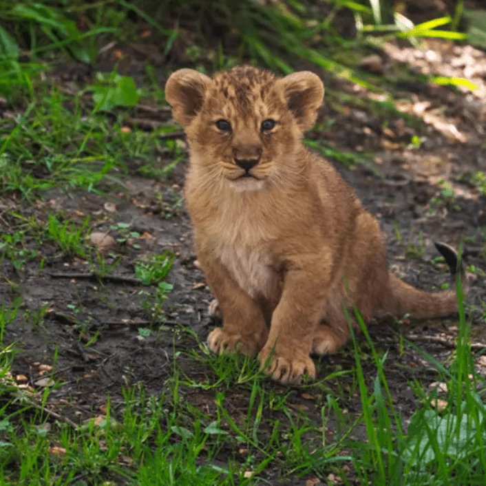 Recently Added Experiences Recently Added Experiences