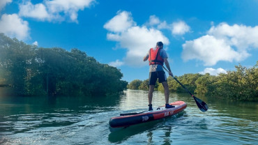 Mangroves paddleboarding at Purple Island - Qool Qatar