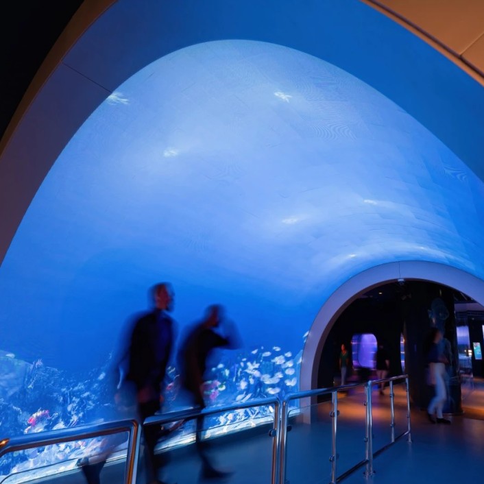 التجارب المضافة حديثًا