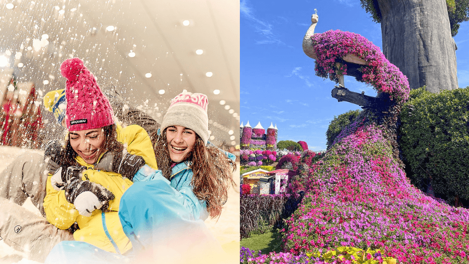 Miracle Garden + Ski Dubai - Combo Miracle Garden + Ski Dubai - Combo
