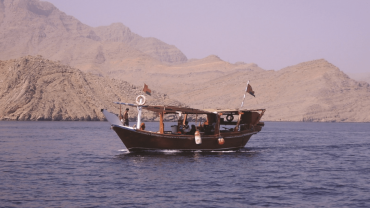 Muscat Dolphin Cruise With Shared Transfers Muscat Dolphin Cruise With Shared Transfers