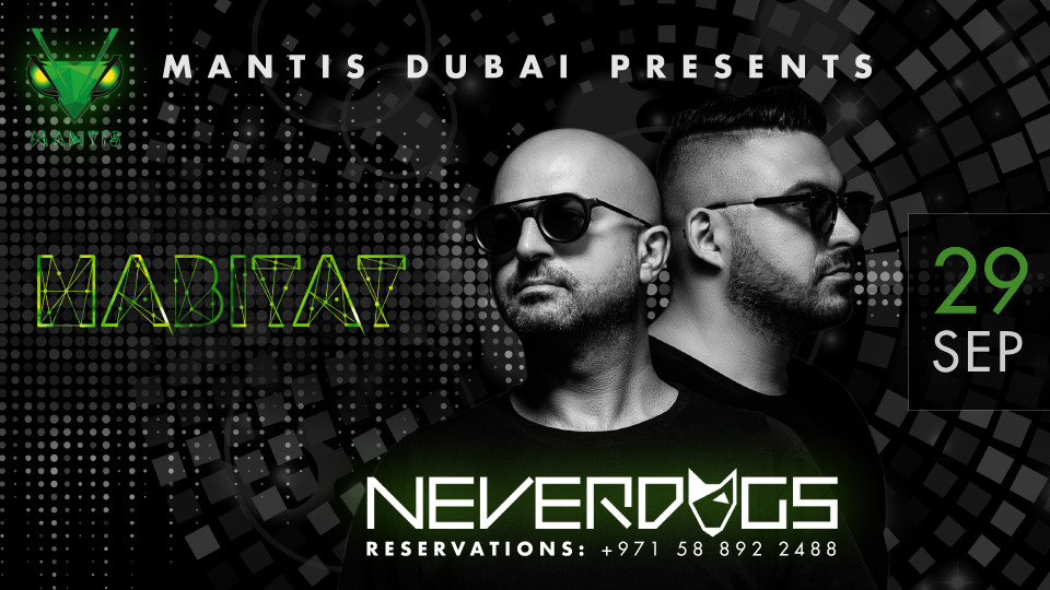 Neverdogs at the Habitat, Mantis Dubai! Neverdogs at the Habitat, Mantis Dubai!