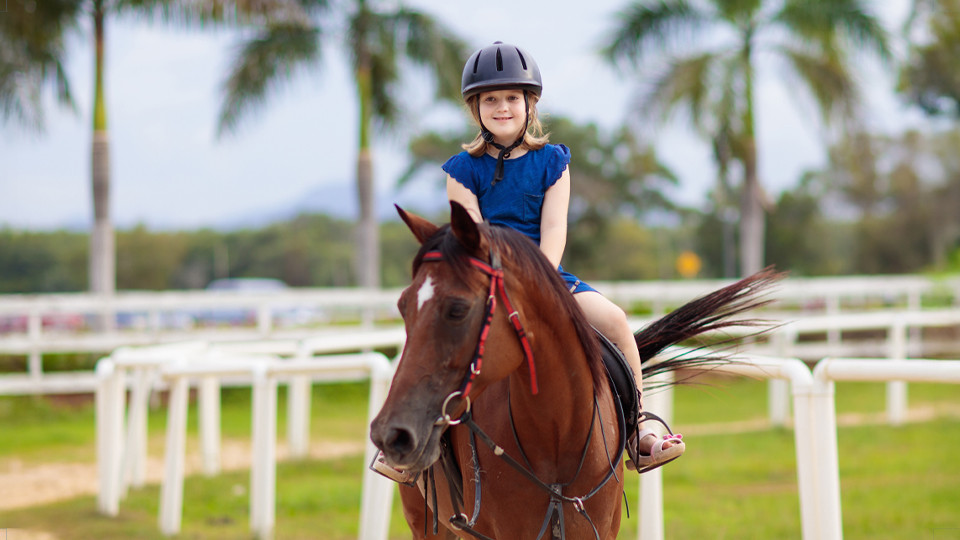 تجربة ركوب المهر في الفرسان