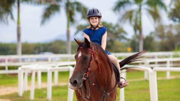 تجربة ركوب المهر في الفرسان