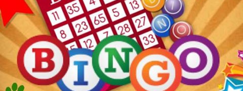 QAWS Bingo Night QAWS Bingo Night