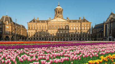 Royal Palace Amsterdam (Koninklijk Paleis): Entry Ticket