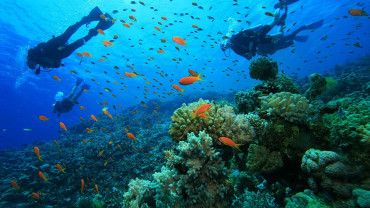 Scuba Diving at Sealine - Qool Qatar