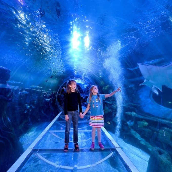 الحدائق الترفيهية