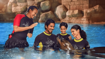 Sea Lion Experiences at Atlantis The Palm