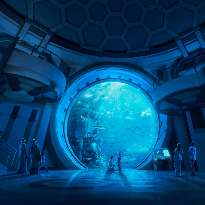 Experiences Experiences