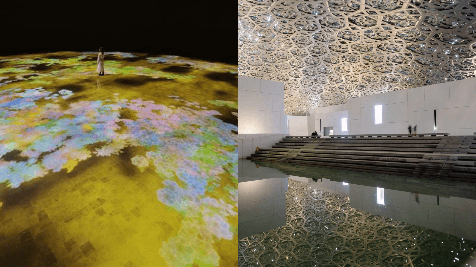 TeamLab Phenomena + Louvre Abu Dhabi - Combo