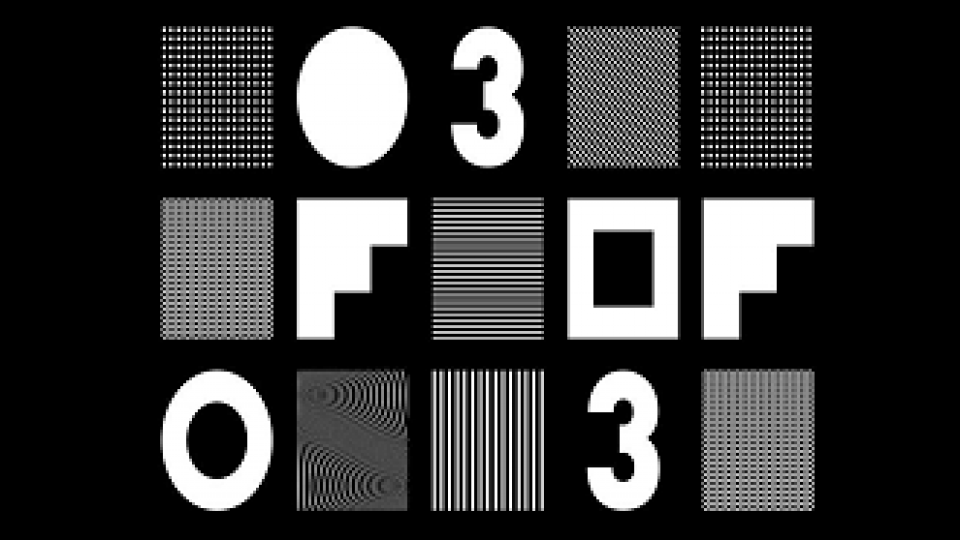 THE 303 PROJECT THE 303 PROJECT