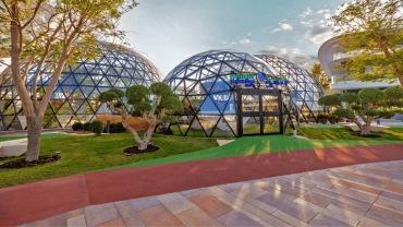 The Butterfly Garden The Butterfly Garden