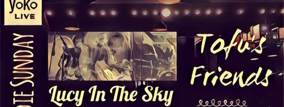 Tofu's Friends + Lucy In The Sky!