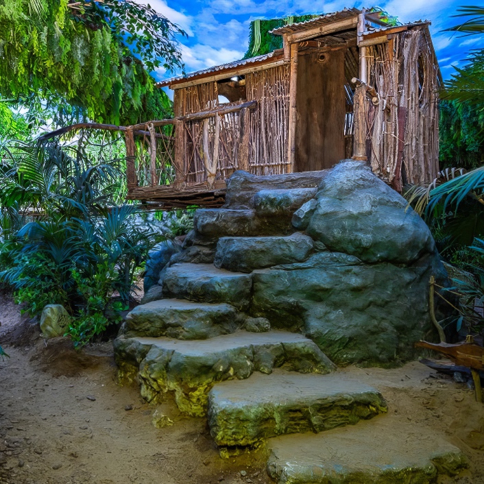 التجارب المشوّقة التجارب المشوّقة