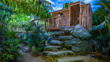 Tropical Land Tropical Land