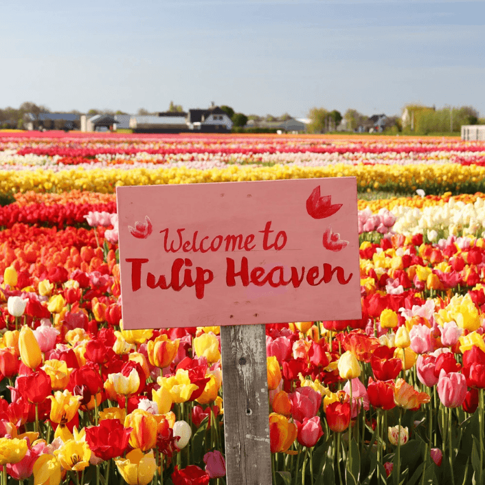 الجولات والمعالم السياحية