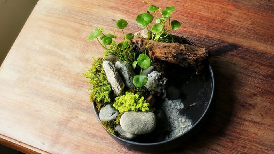 Vivarium Design Workshop