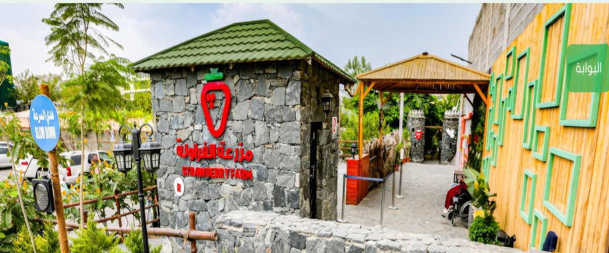 Strawberry Farm Strawberry Farm