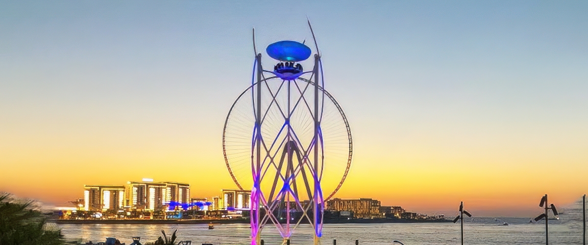 Flying Cup JBR Flying Cup JBR