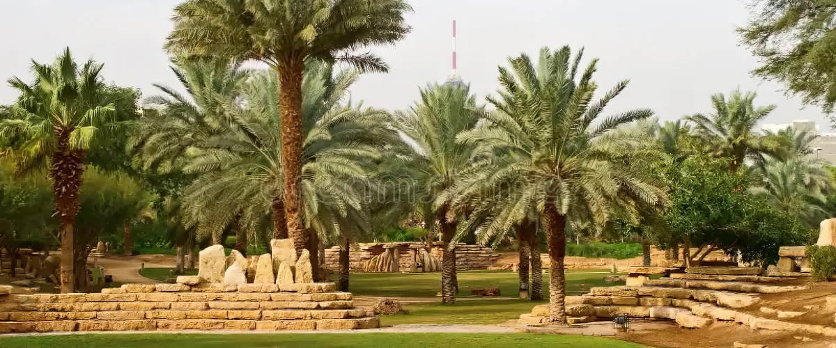 الرياض بارك الرياض بارك