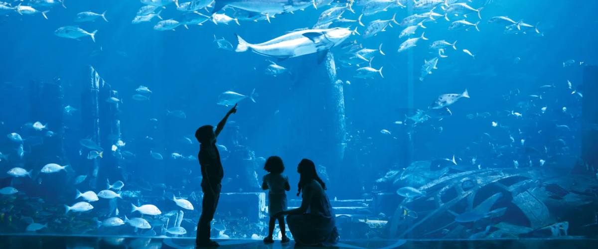 Lost Chambers Aquarium