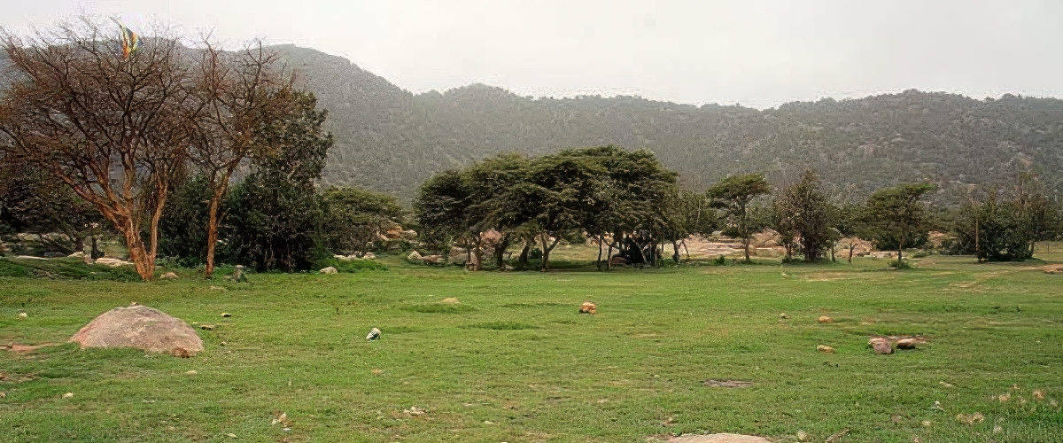 Abha - Al Fara Abha - Al Fara