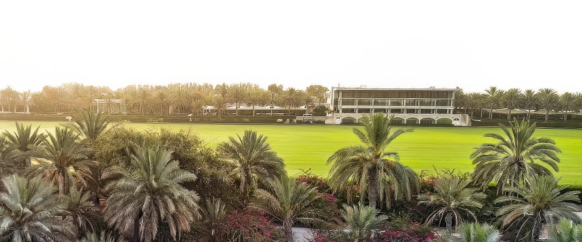 نادي بولو صحراء النخلة