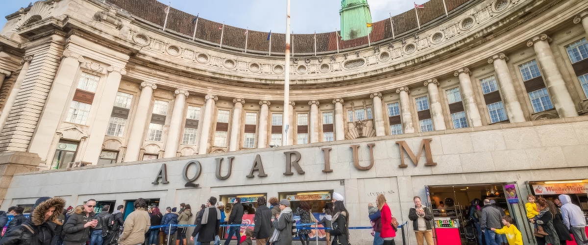 SEA LIFE London Aquarium SEA LIFE London Aquarium